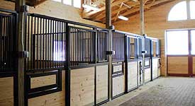 beres-equine-box